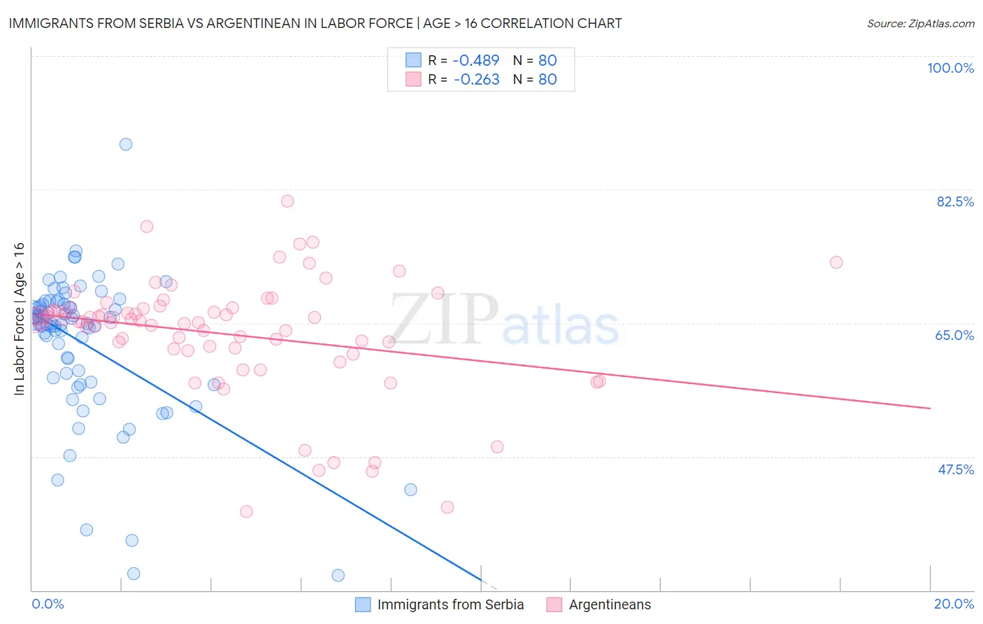 Immigrants from Serbia vs Argentinean In Labor Force | Age > 16