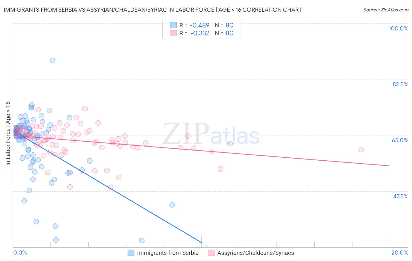 Immigrants from Serbia vs Assyrian/Chaldean/Syriac In Labor Force | Age > 16