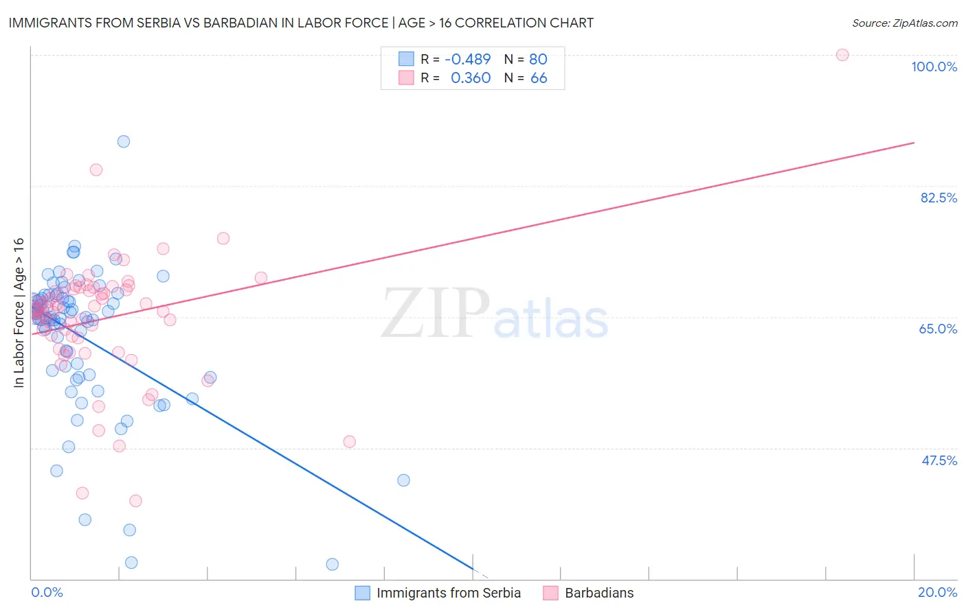 Immigrants from Serbia vs Barbadian In Labor Force | Age > 16
