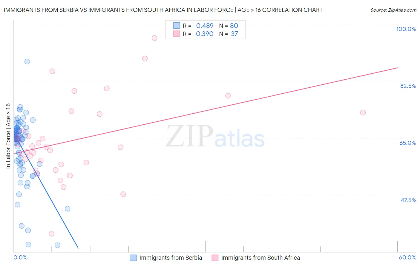 Immigrants from Serbia vs Immigrants from South Africa In Labor Force | Age > 16