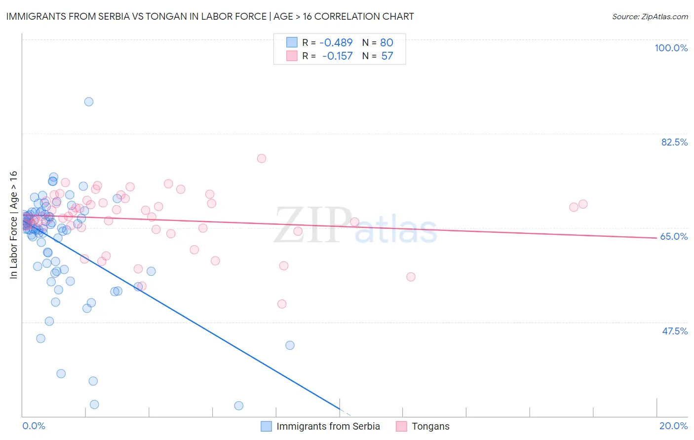 Immigrants from Serbia vs Tongan In Labor Force | Age > 16