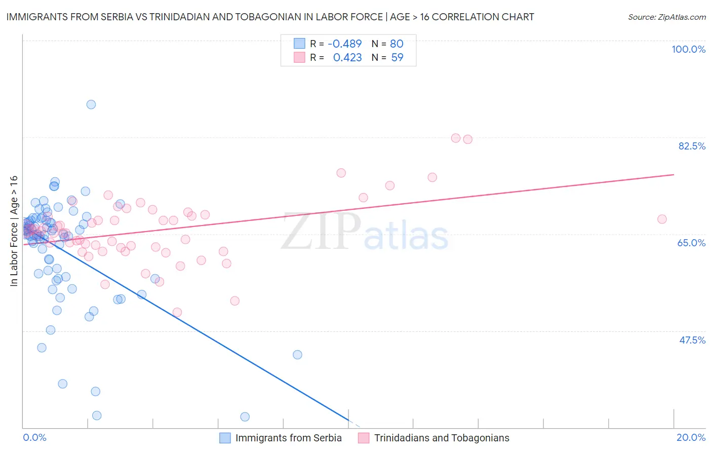 Immigrants from Serbia vs Trinidadian and Tobagonian In Labor Force | Age > 16