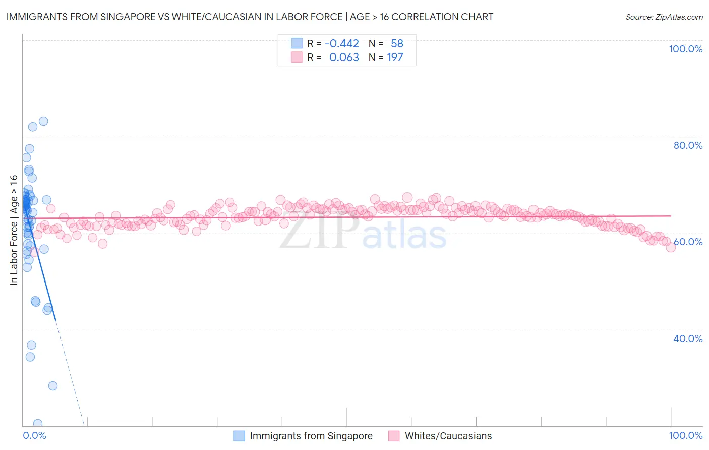 Immigrants from Singapore vs White/Caucasian In Labor Force | Age > 16