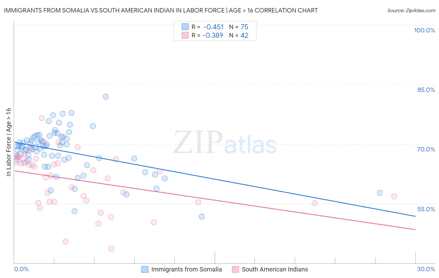 Immigrants from Somalia vs South American Indian In Labor Force | Age > 16