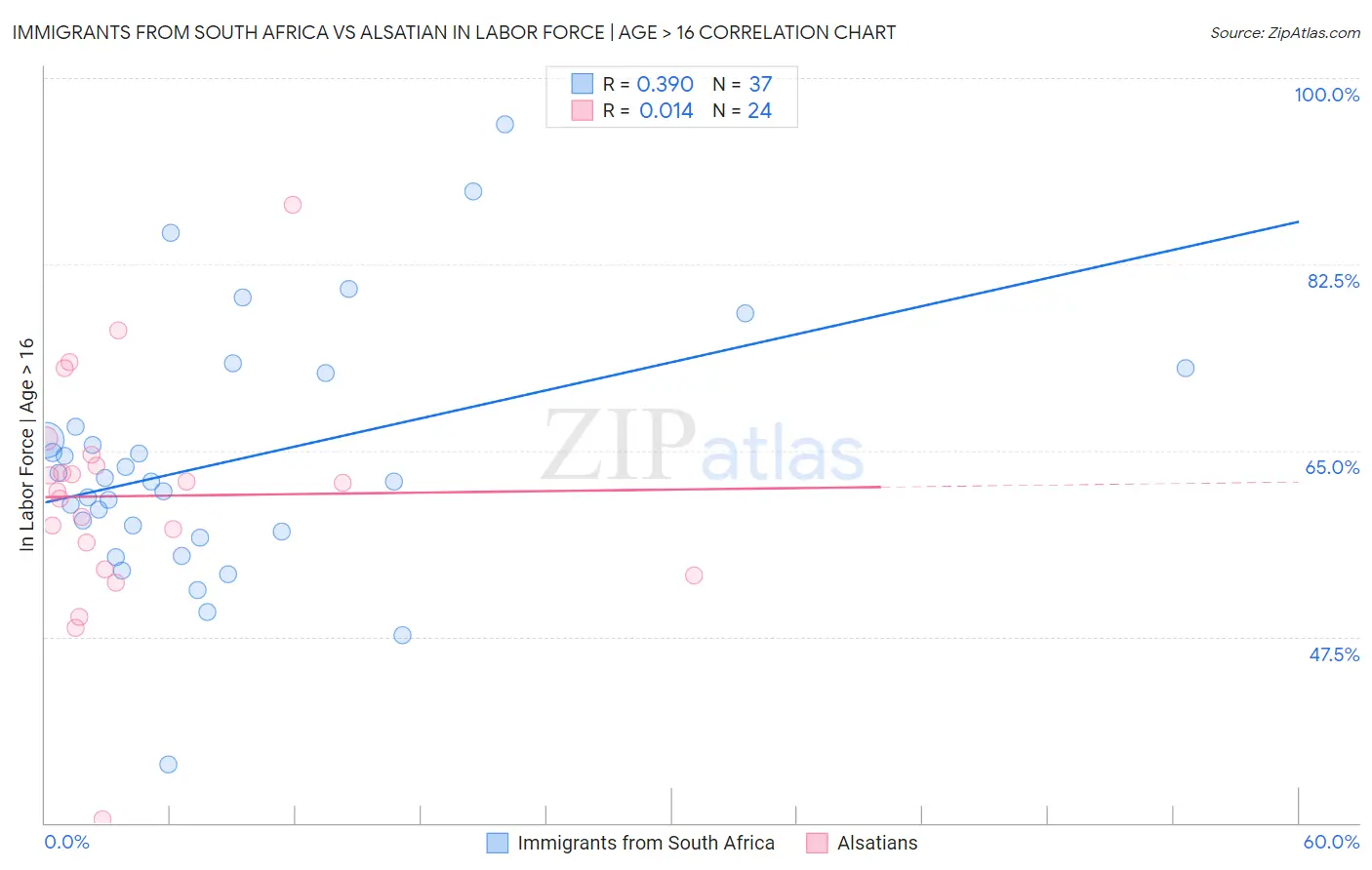 Immigrants from South Africa vs Alsatian In Labor Force | Age > 16