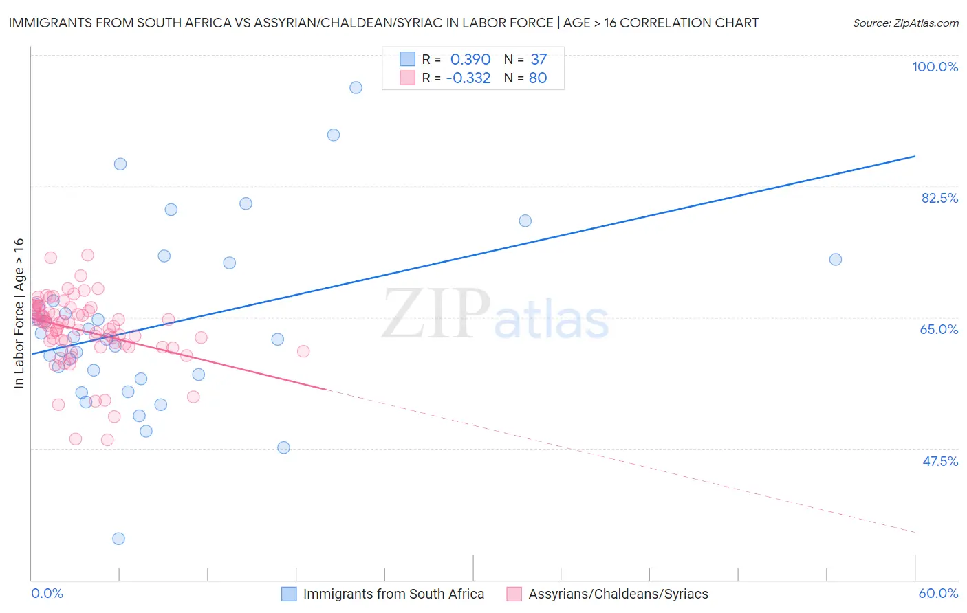 Immigrants from South Africa vs Assyrian/Chaldean/Syriac In Labor Force | Age > 16