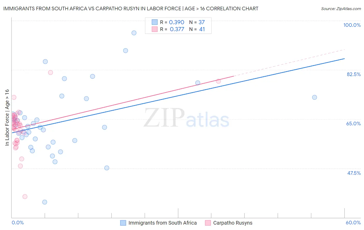 Immigrants from South Africa vs Carpatho Rusyn In Labor Force | Age > 16