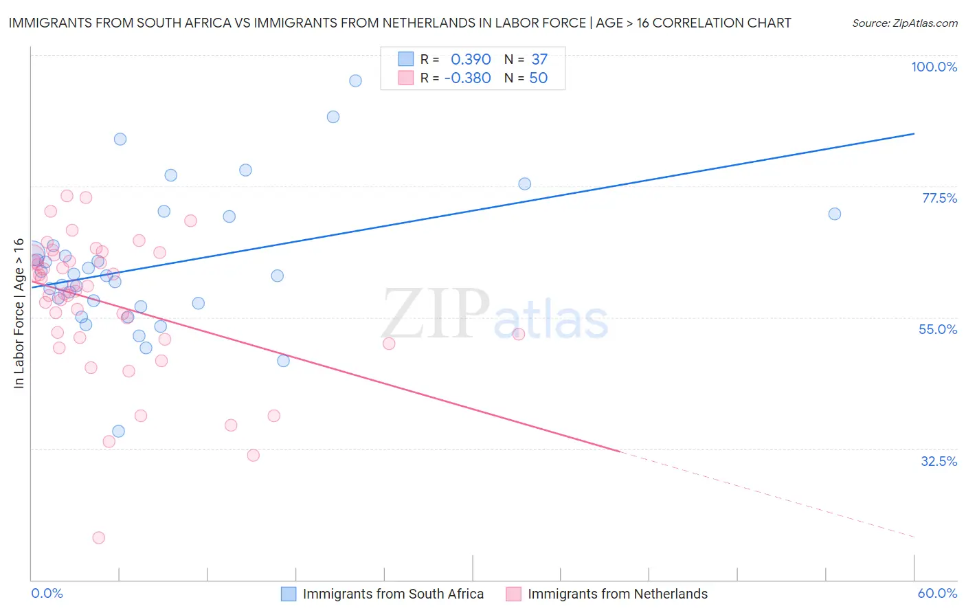 Immigrants from South Africa vs Immigrants from Netherlands In Labor Force | Age > 16