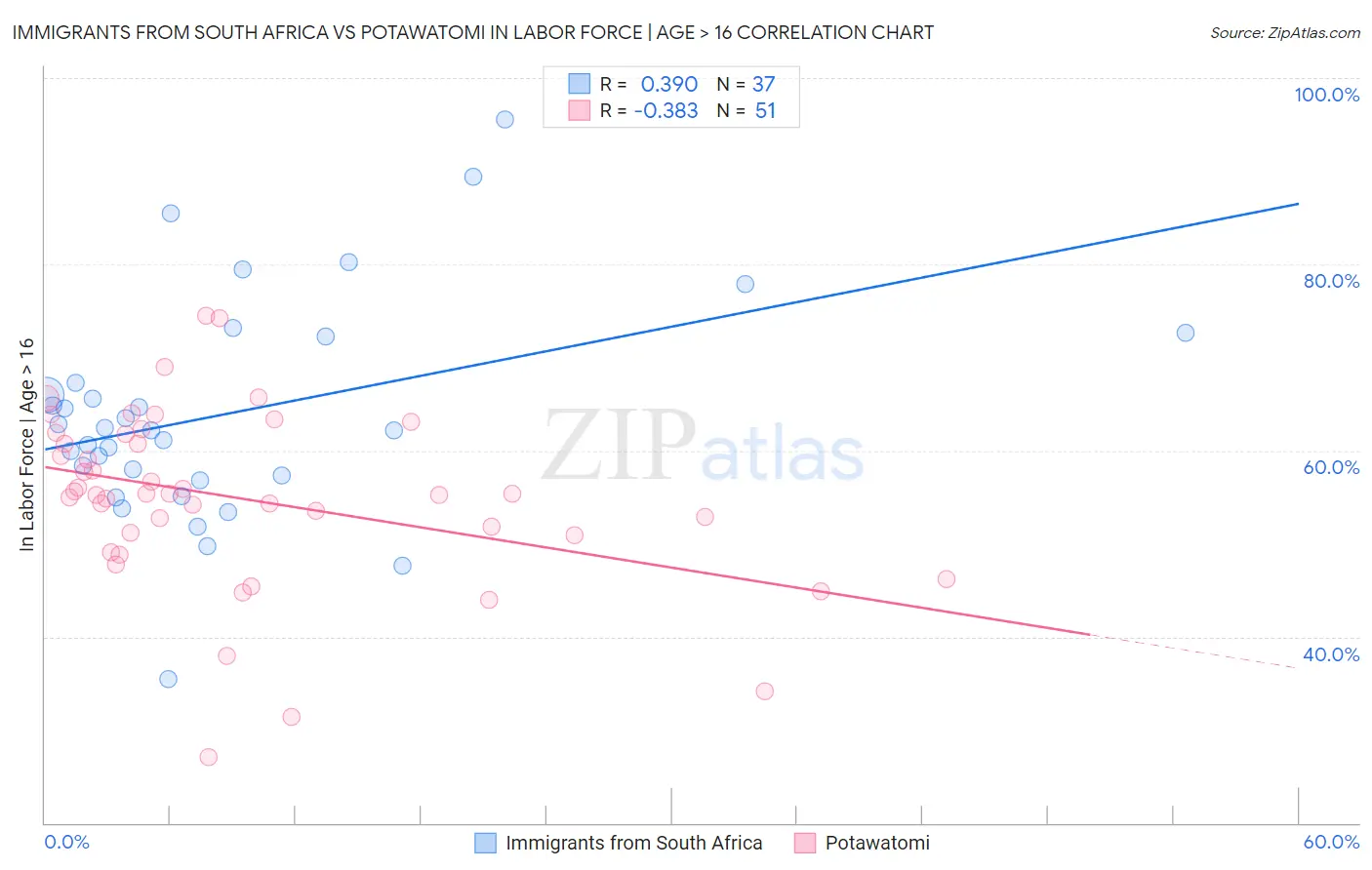 Immigrants from South Africa vs Potawatomi In Labor Force | Age > 16