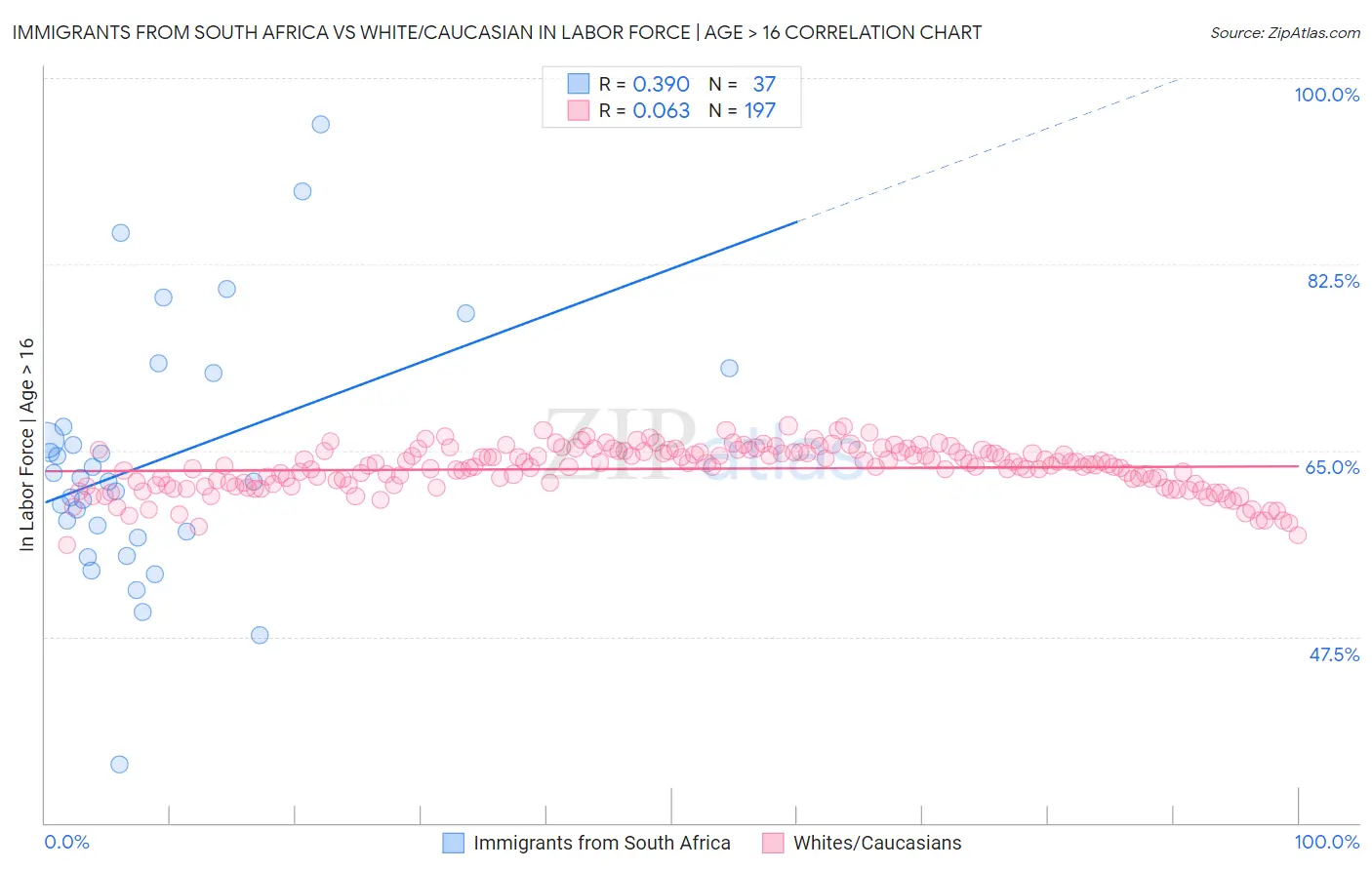 Immigrants from South Africa vs White/Caucasian In Labor Force | Age > 16