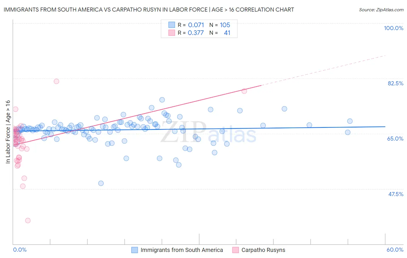 Immigrants from South America vs Carpatho Rusyn In Labor Force | Age > 16