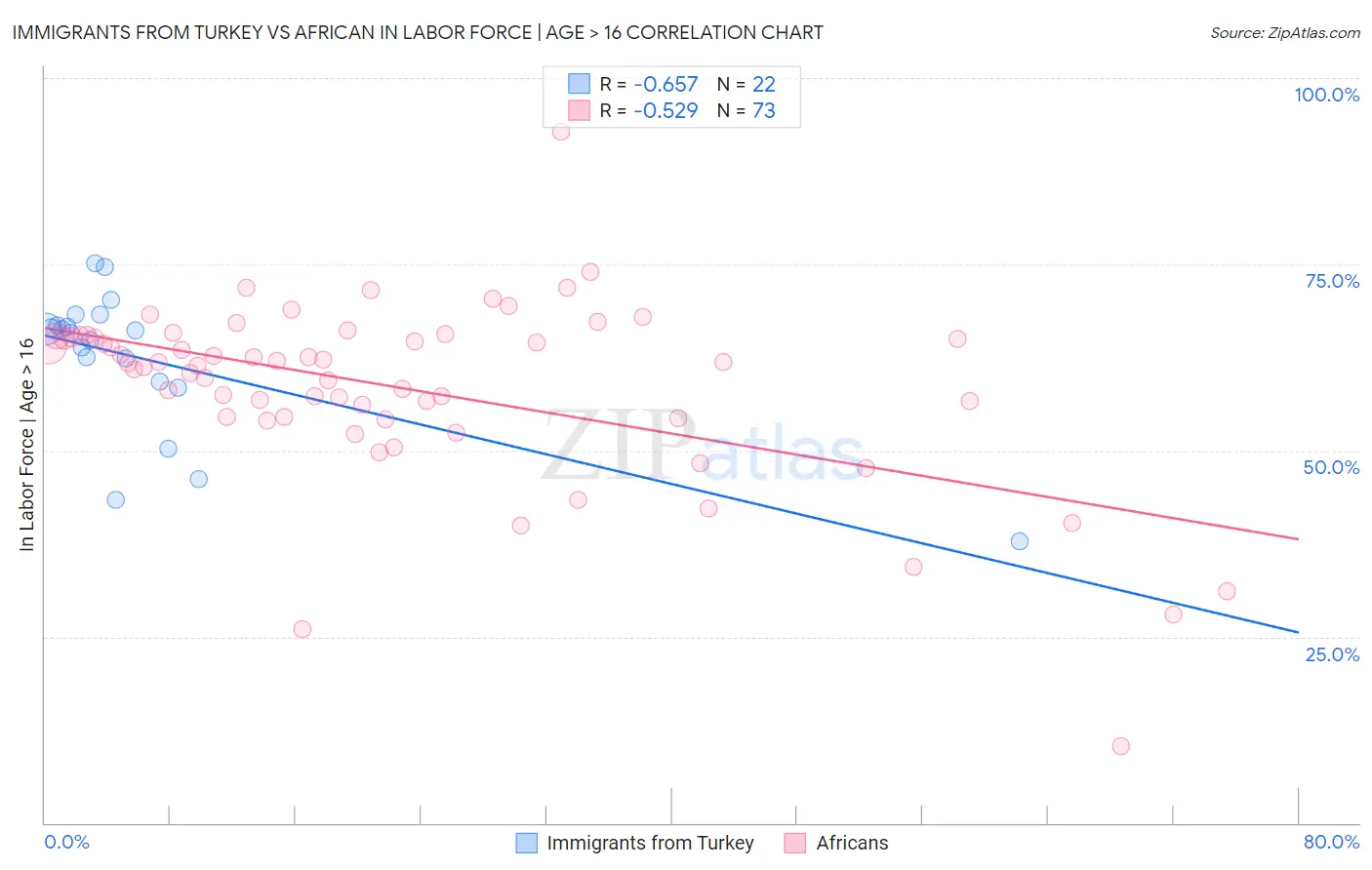 Immigrants from Turkey vs African In Labor Force | Age > 16