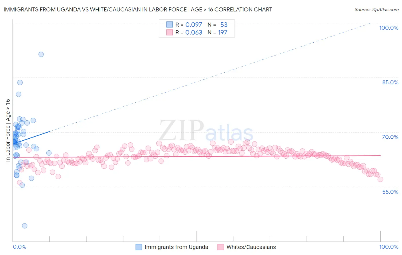 Immigrants from Uganda vs White/Caucasian In Labor Force | Age > 16