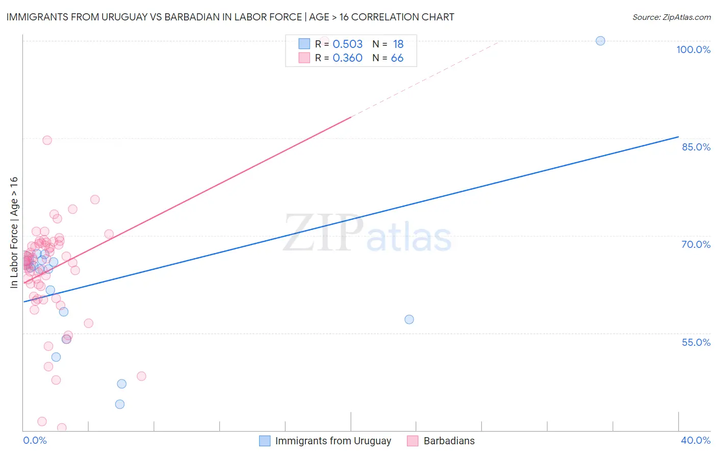 Immigrants from Uruguay vs Barbadian In Labor Force | Age > 16