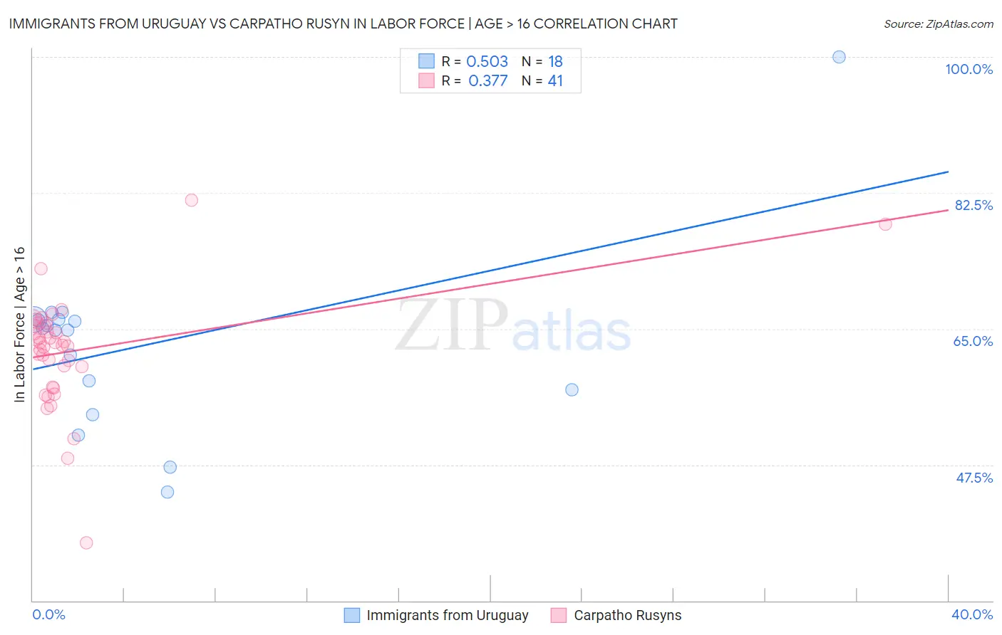 Immigrants from Uruguay vs Carpatho Rusyn In Labor Force | Age > 16