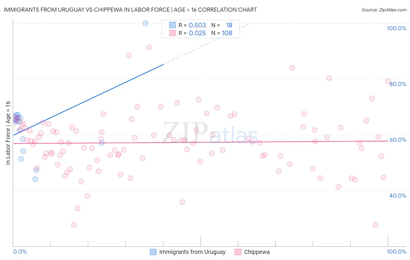 Immigrants from Uruguay vs Chippewa In Labor Force | Age > 16