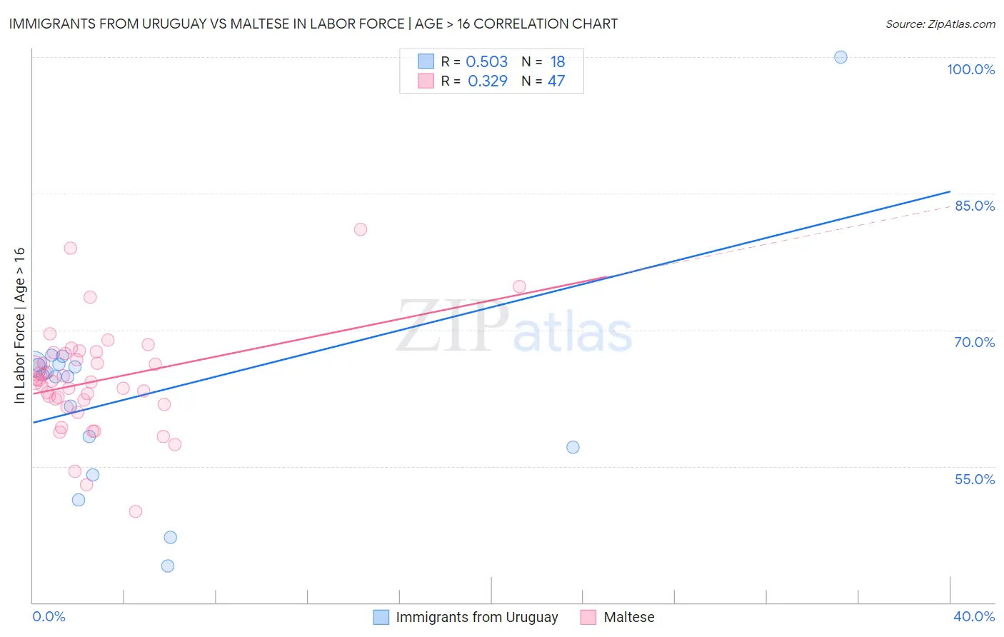 Immigrants from Uruguay vs Maltese In Labor Force | Age > 16
