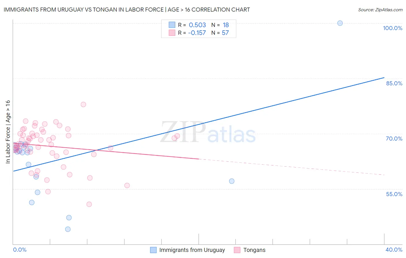 Immigrants from Uruguay vs Tongan In Labor Force | Age > 16