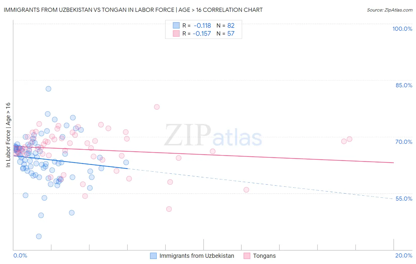 Immigrants from Uzbekistan vs Tongan In Labor Force | Age > 16