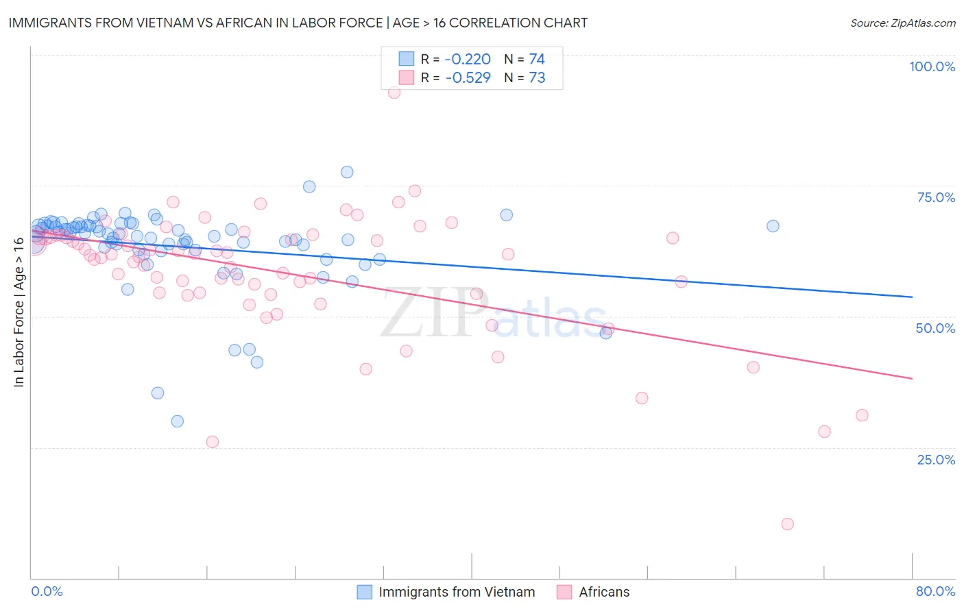 Immigrants from Vietnam vs African In Labor Force | Age > 16
