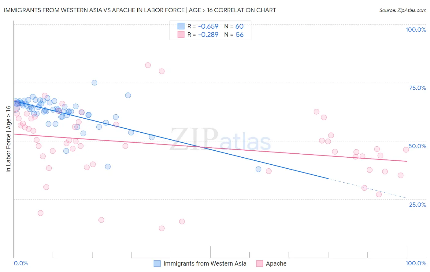 Immigrants from Western Asia vs Apache In Labor Force | Age > 16