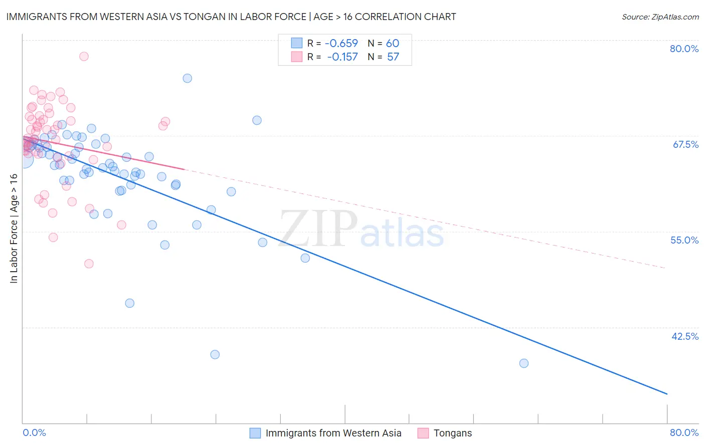 Immigrants from Western Asia vs Tongan In Labor Force | Age > 16