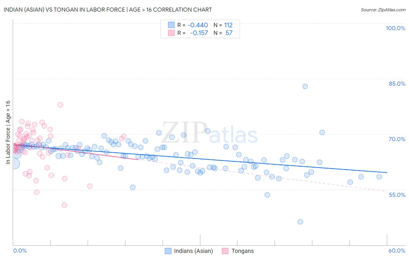 Indian (Asian) vs Tongan In Labor Force | Age > 16