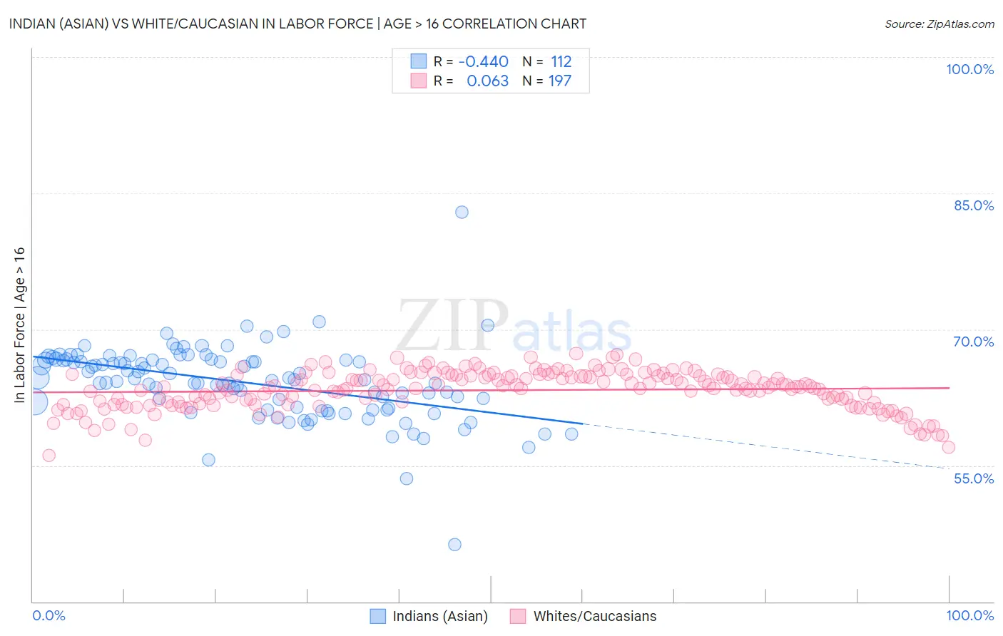 Indian (Asian) vs White/Caucasian In Labor Force | Age > 16