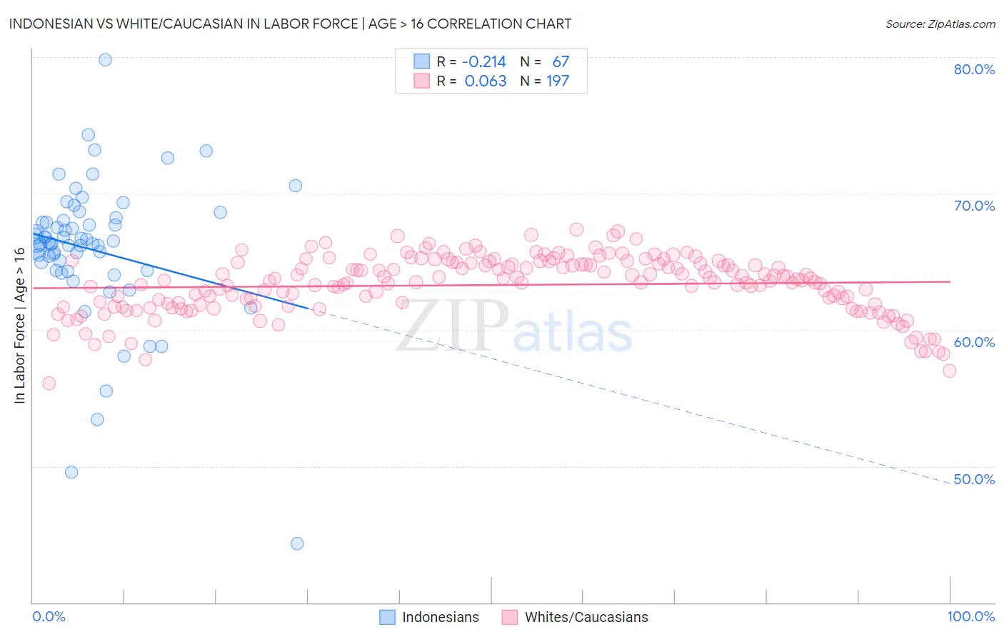 Indonesian vs White/Caucasian In Labor Force | Age > 16