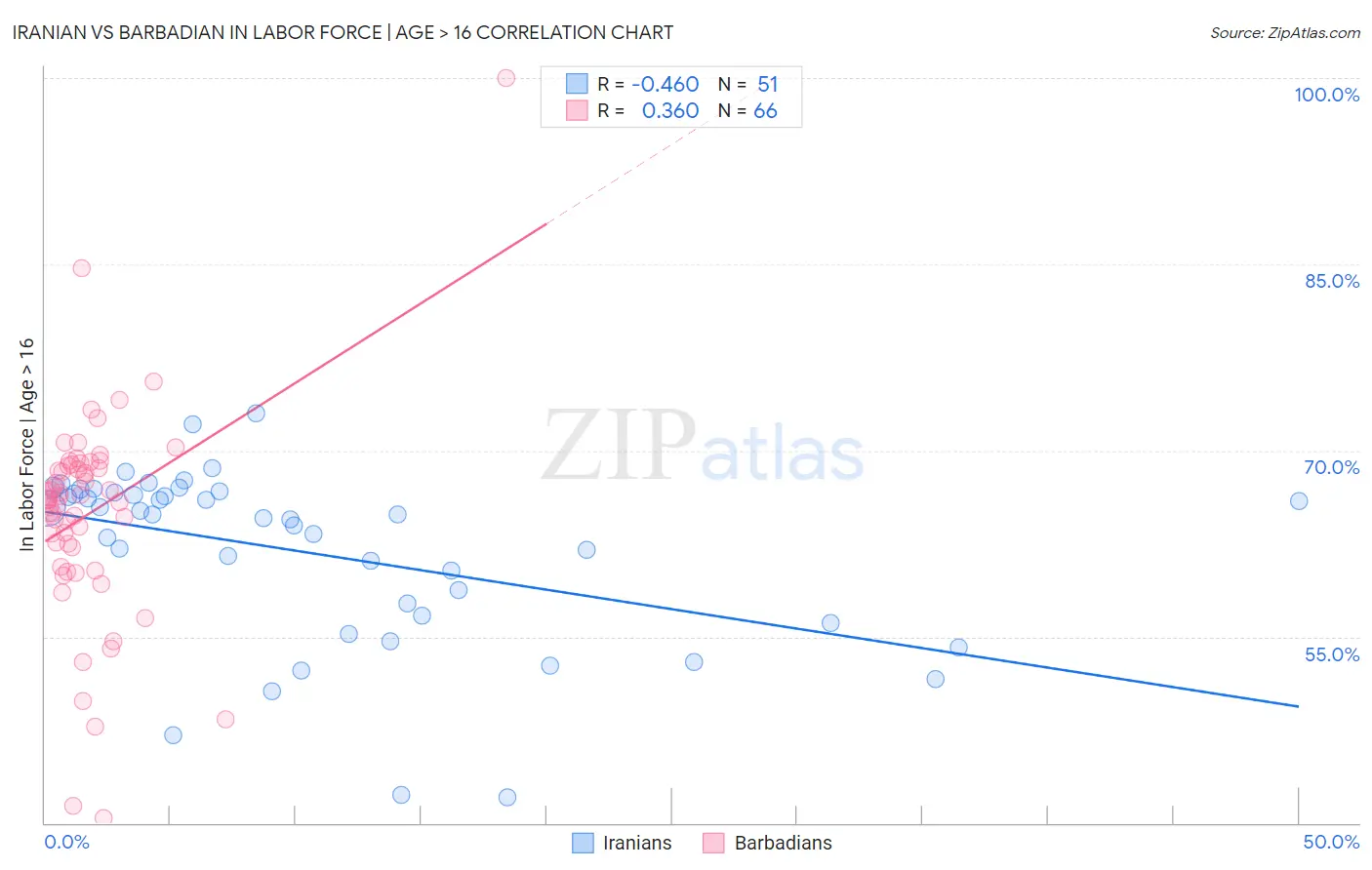 Iranian vs Barbadian In Labor Force | Age > 16