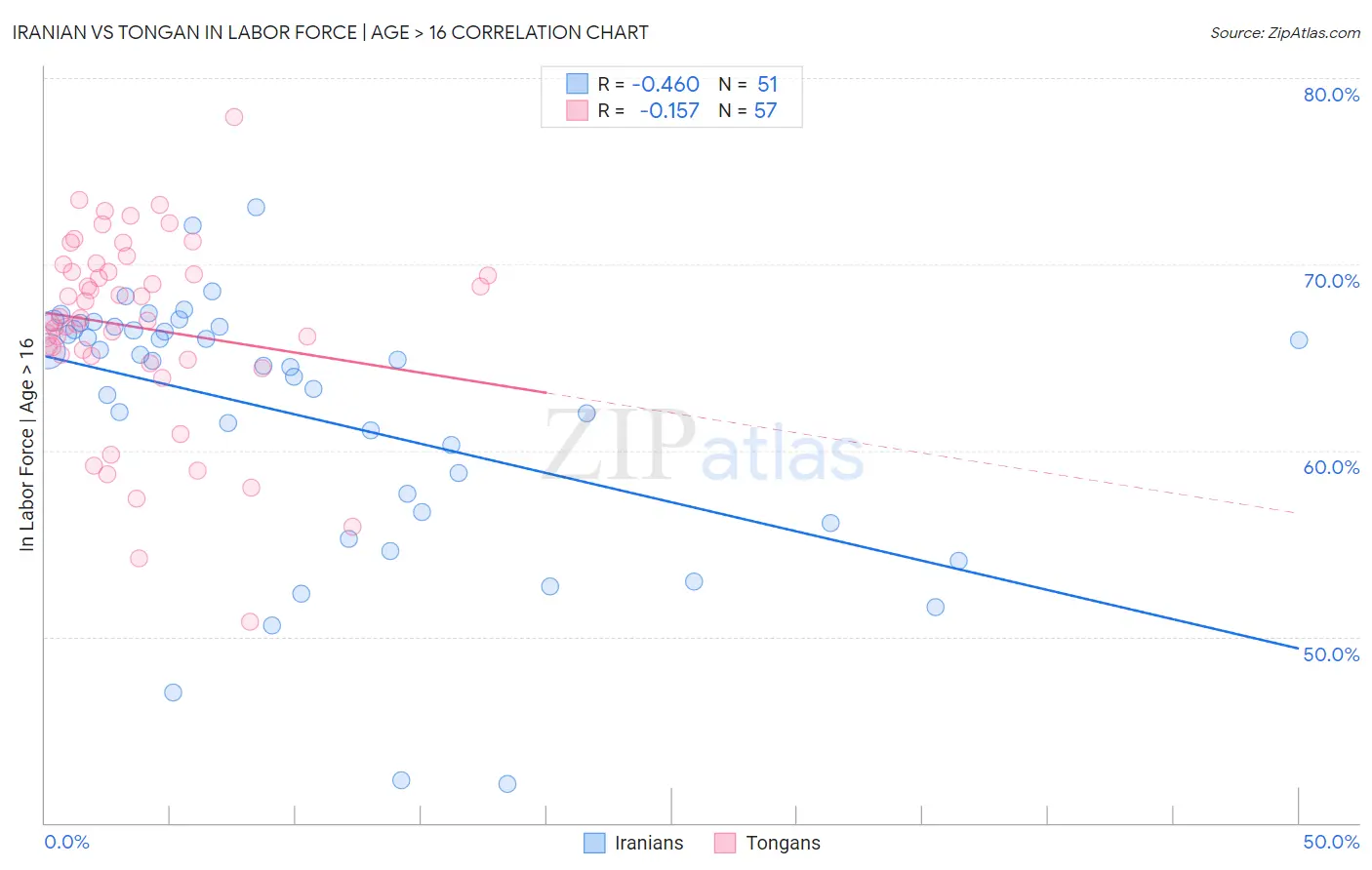 Iranian vs Tongan In Labor Force | Age > 16