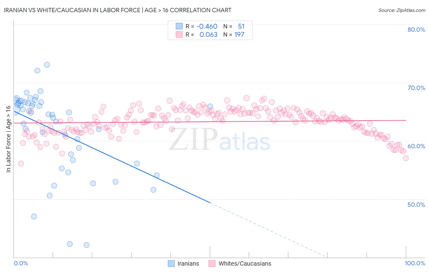 Iranian vs White/Caucasian In Labor Force | Age > 16