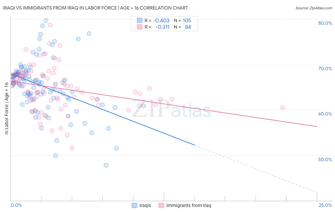 Iraqi vs Immigrants from Iraq In Labor Force | Age > 16