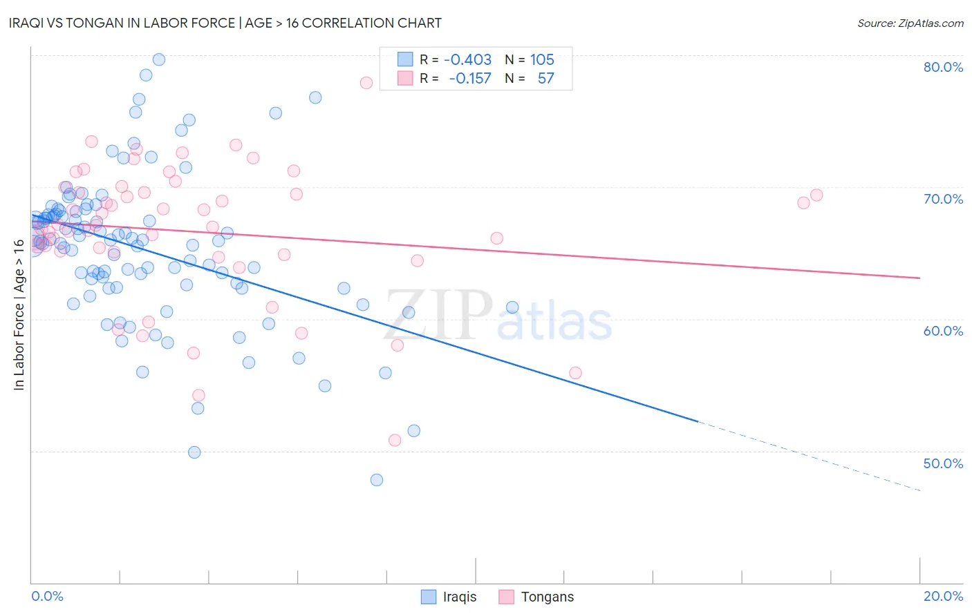 Iraqi vs Tongan In Labor Force | Age > 16