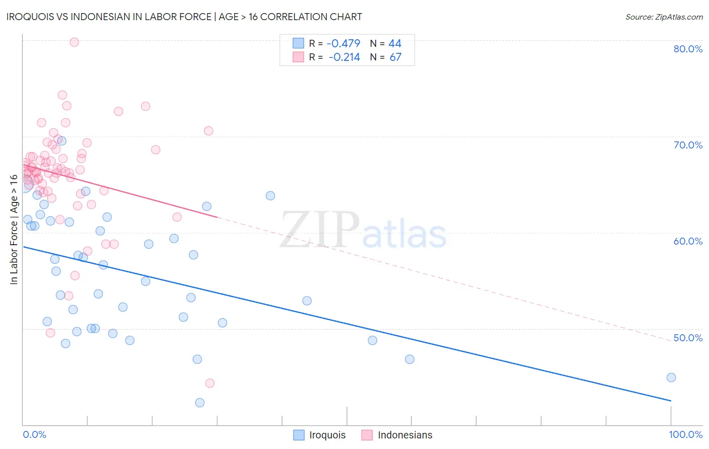 Iroquois vs Indonesian In Labor Force | Age > 16