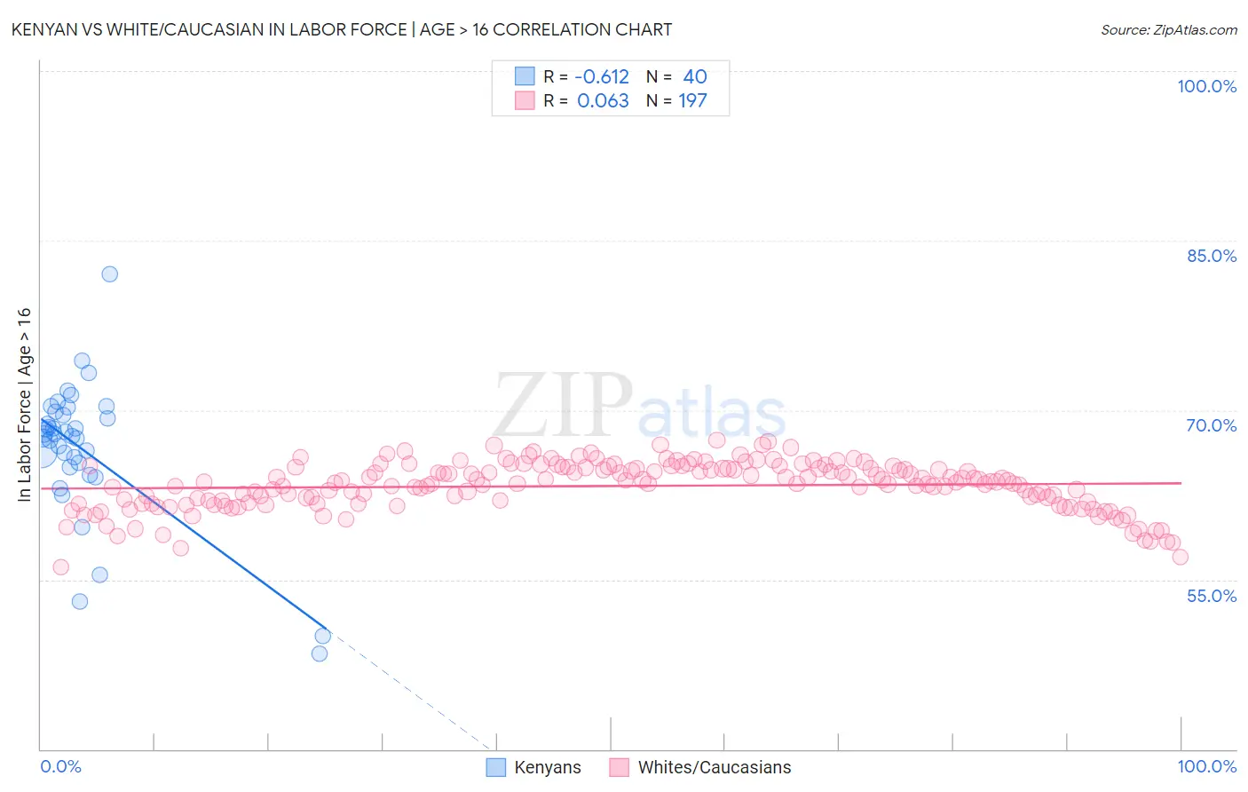 Kenyan vs White/Caucasian In Labor Force | Age > 16