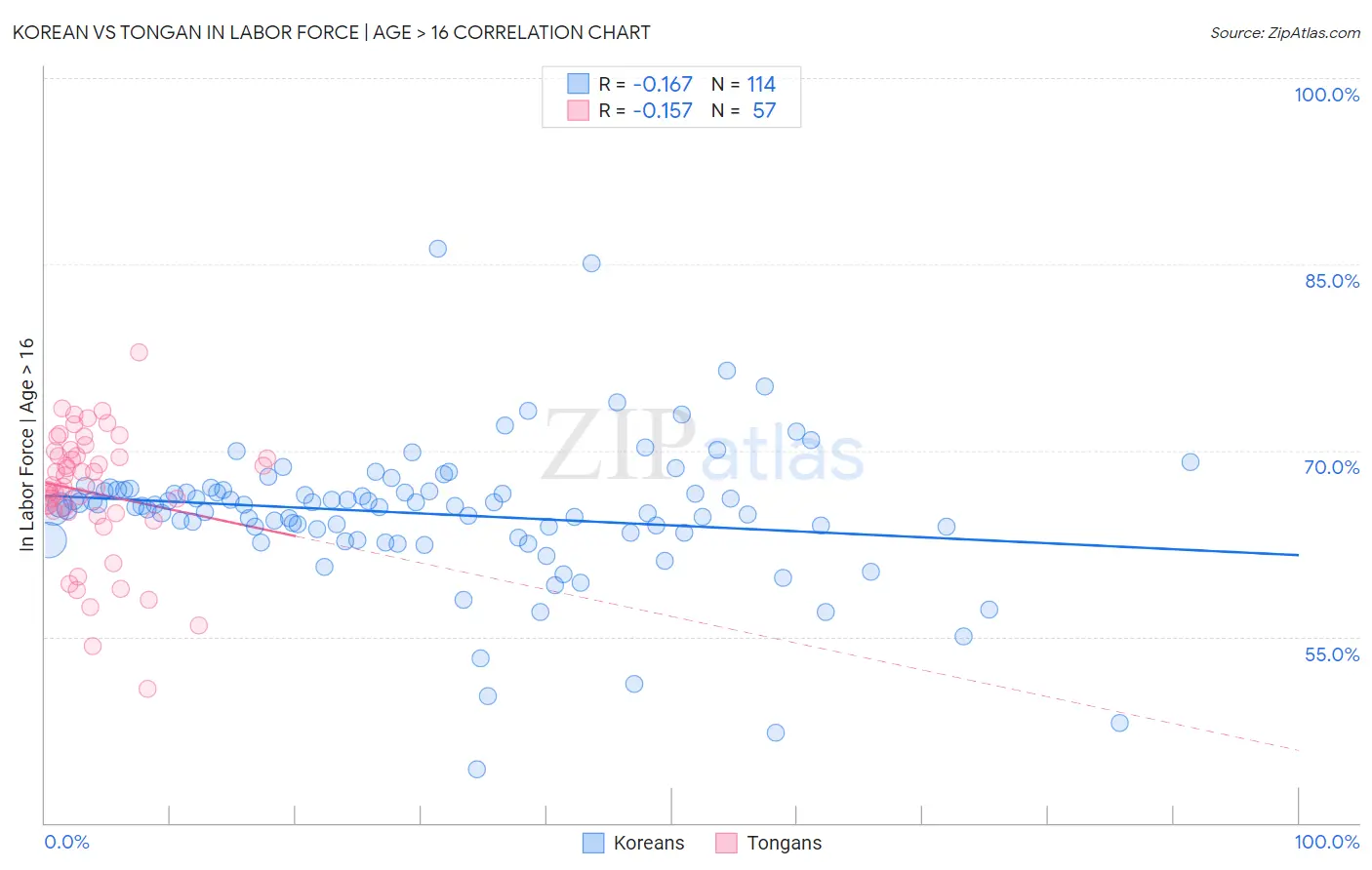 Korean vs Tongan In Labor Force | Age > 16
