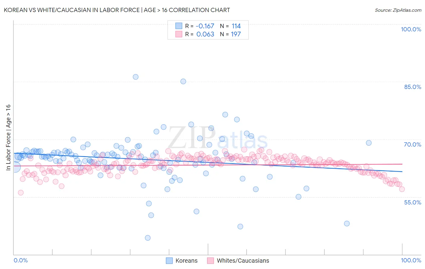 Korean vs White/Caucasian In Labor Force | Age > 16