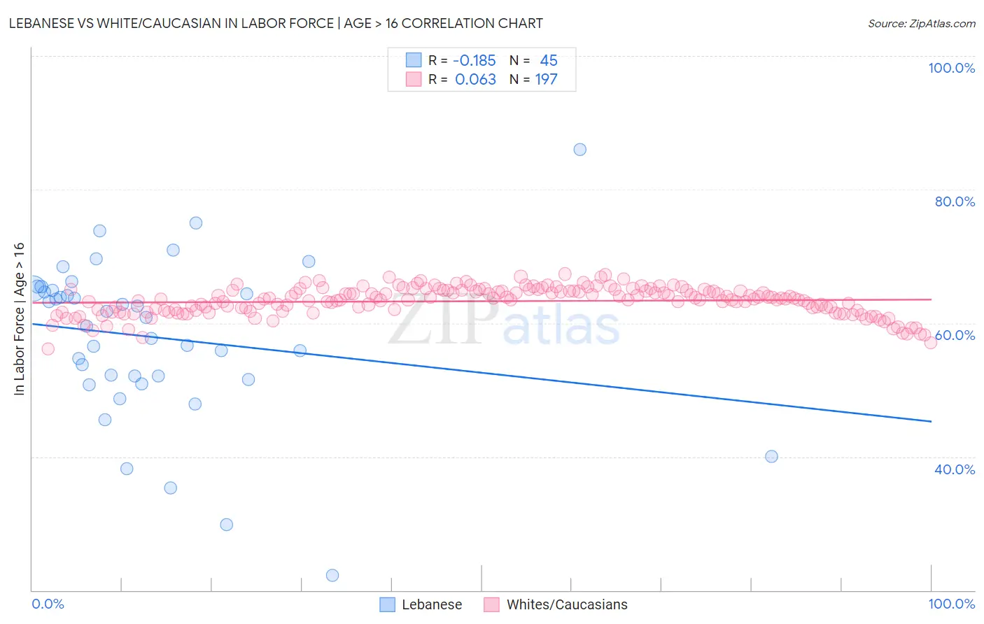 Lebanese vs White/Caucasian In Labor Force | Age > 16