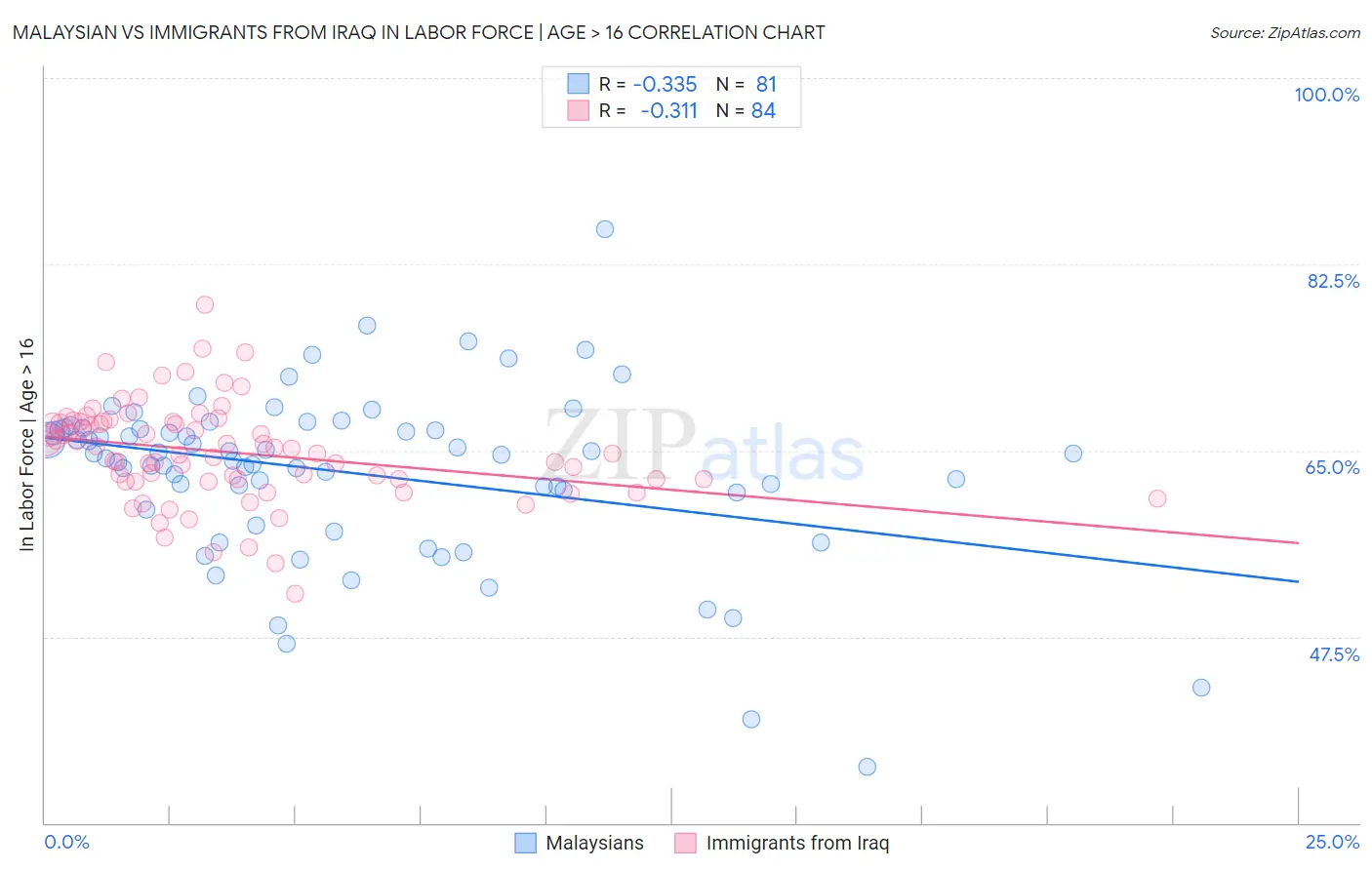 Malaysian vs Immigrants from Iraq In Labor Force | Age > 16