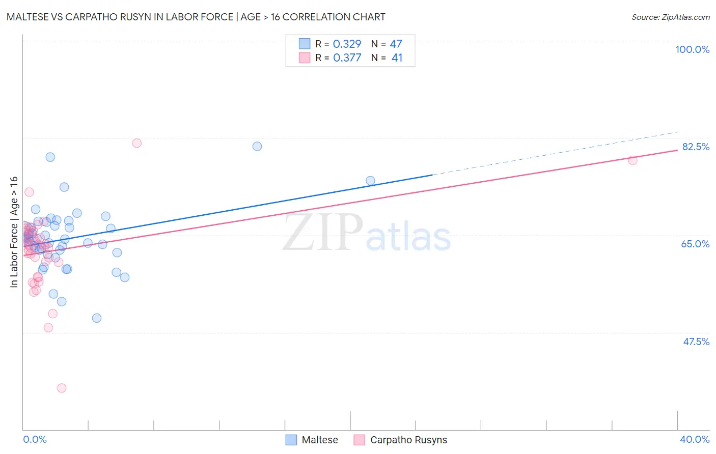 Maltese vs Carpatho Rusyn In Labor Force | Age > 16