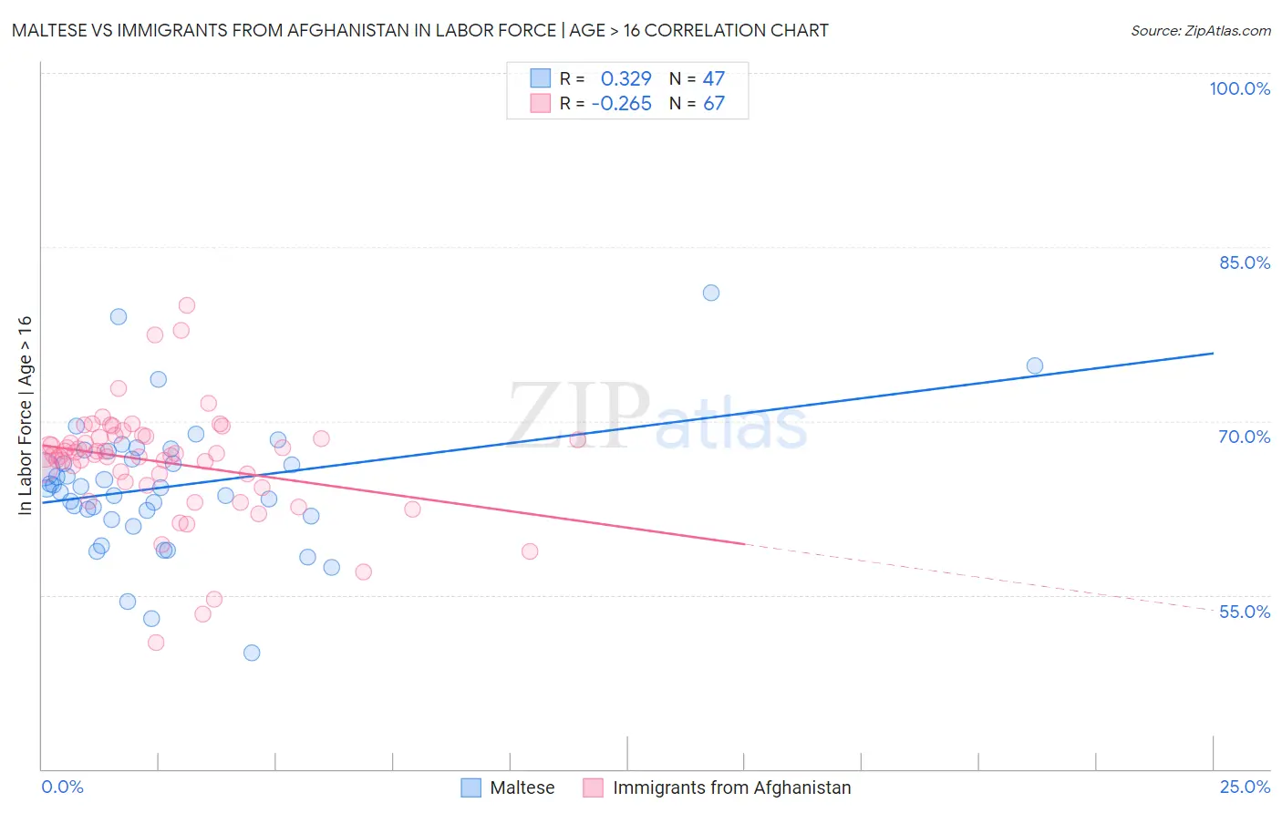 Maltese vs Immigrants from Afghanistan In Labor Force | Age > 16