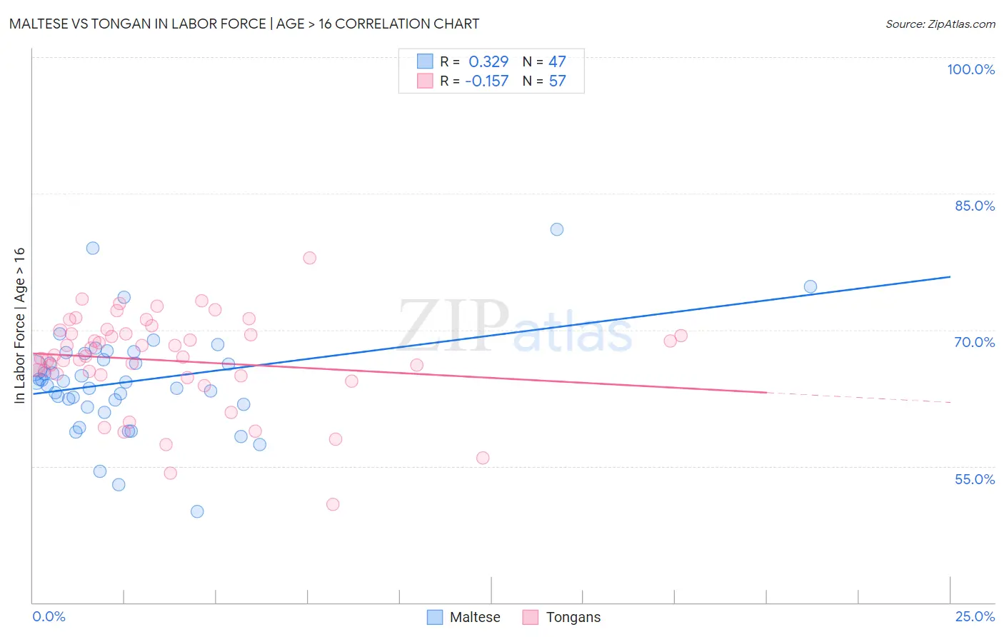 Maltese vs Tongan In Labor Force | Age > 16