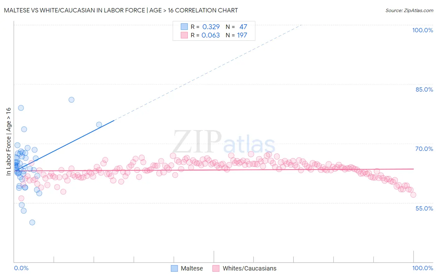 Maltese vs White/Caucasian In Labor Force | Age > 16