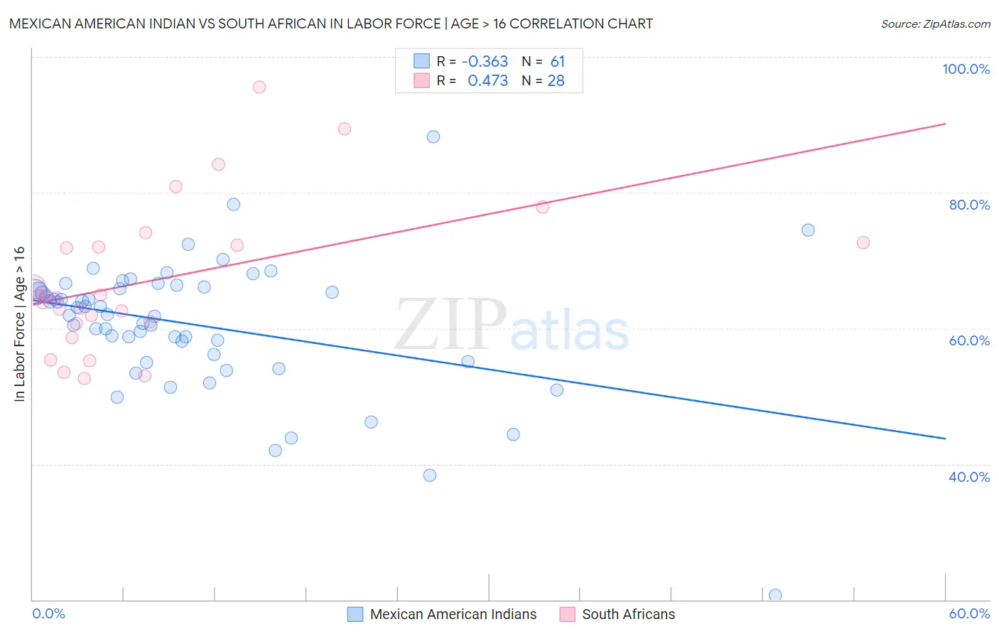 Mexican American Indian vs South African In Labor Force | Age > 16