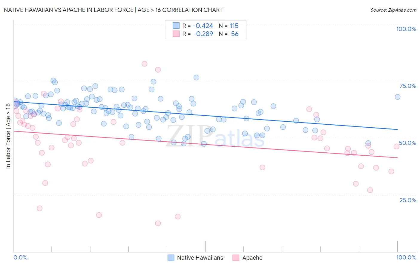 Native Hawaiian vs Apache In Labor Force | Age > 16