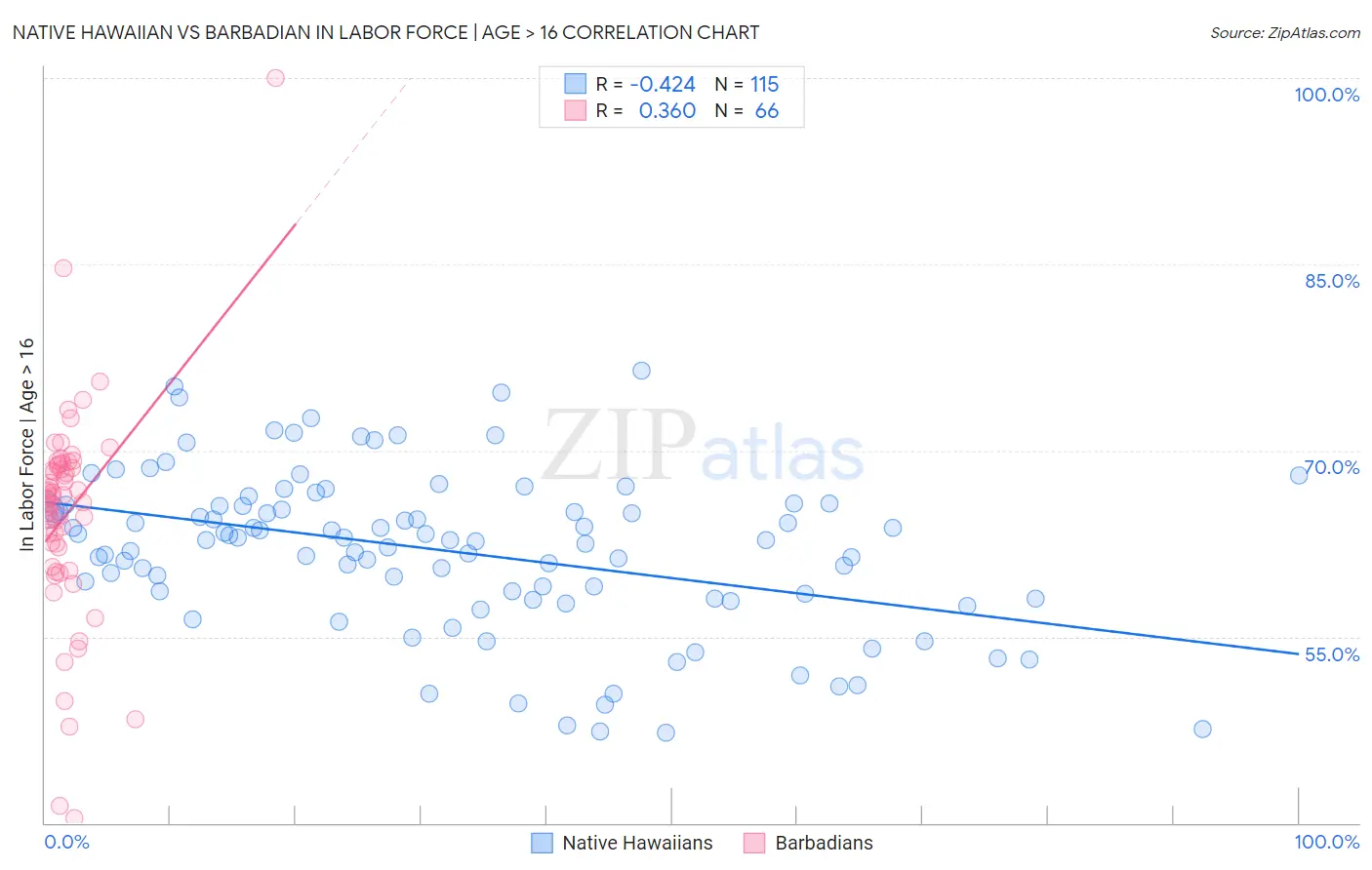 Native Hawaiian vs Barbadian In Labor Force | Age > 16