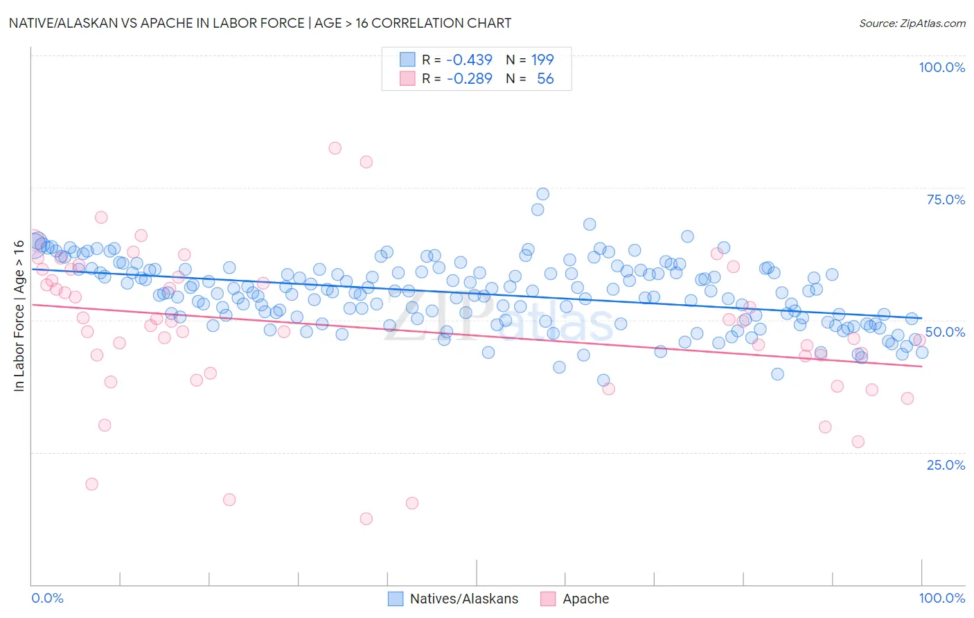 Native/Alaskan vs Apache In Labor Force | Age > 16