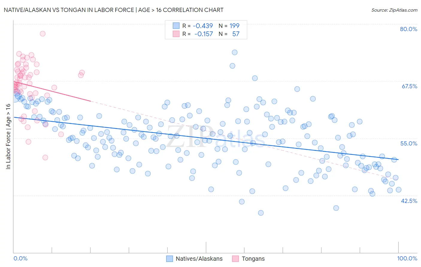 Native/Alaskan vs Tongan In Labor Force | Age > 16