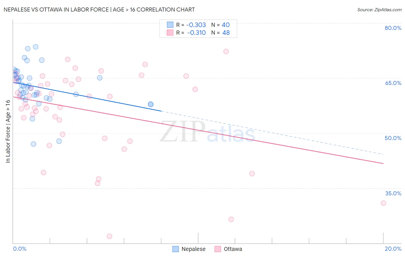 Nepalese vs Ottawa In Labor Force | Age > 16